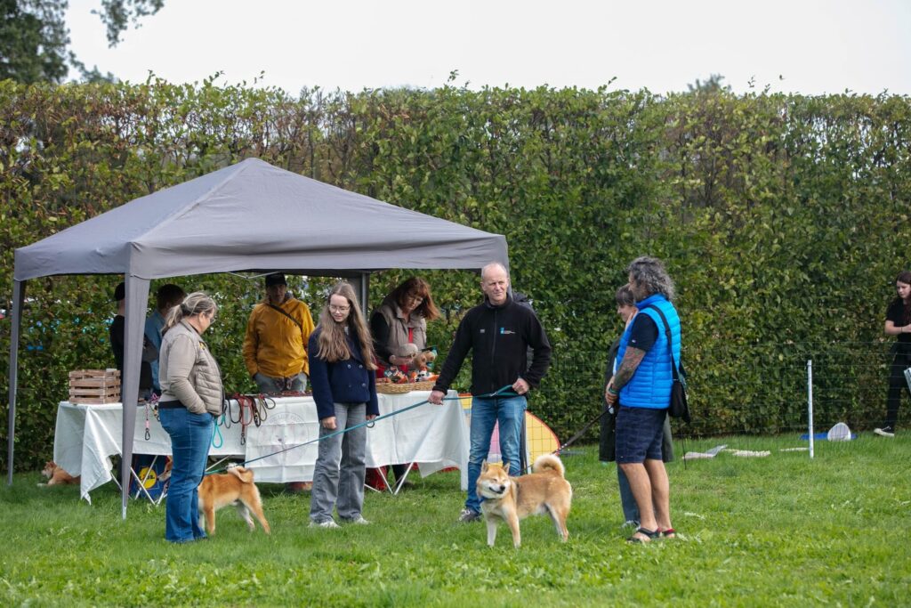 Bezoekers en Shiba Inu's bij een stand onder een partytent