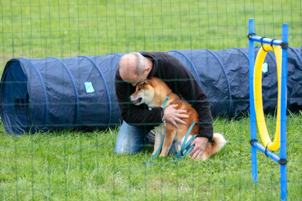 Baasje knuffelt zijn Shiba Inu naast de tunnel