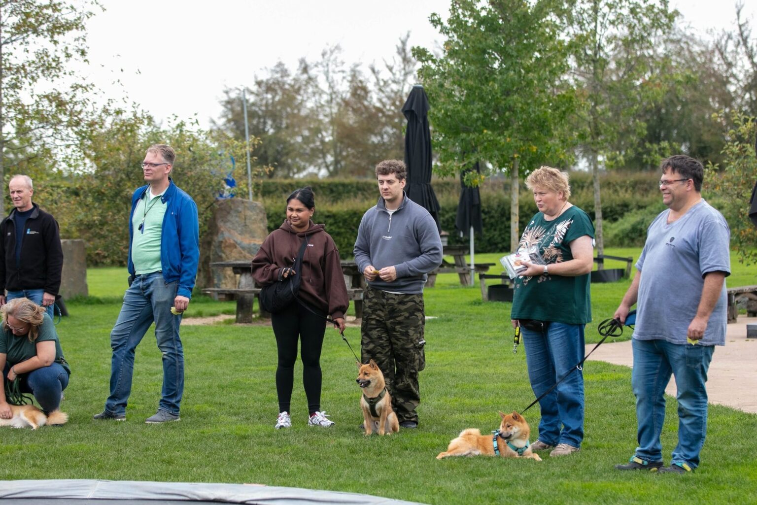 Deelnemers met hun Shiba Inu's op een rij op het grasveld